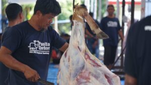 Pertamina Patra Niaga Regional Sumbagut Salurkan 87 Hewan Kurban Melalui Perwira Berbagi