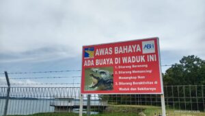 Viral Penampakan Buaya, BP Batam Imbau Masyarakat Waspada