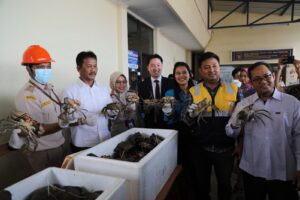 Kepala BP Batam Lepas Ekspor Perdana Kepiting Bakau ke China