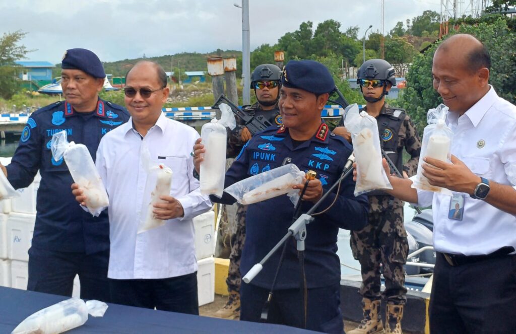 KKP RI Gagalkan Modus Baru Penyelundupan Baby Lobster Dari Batam ke Singapura