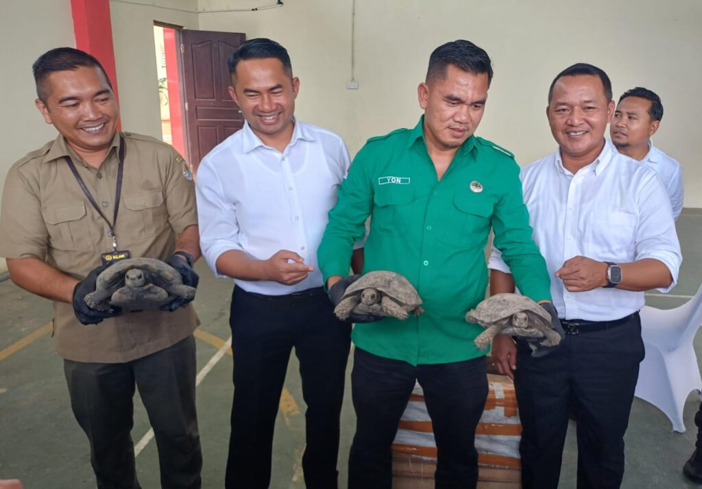 Ditreskrimsus Ringkus Dua Tersangka Penyelundupan Kura-kura Dilindungi