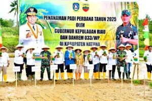 Tanam Perdana Padi di Natuna, Pemprov Kepri Perkuat Ketahanan Pangan