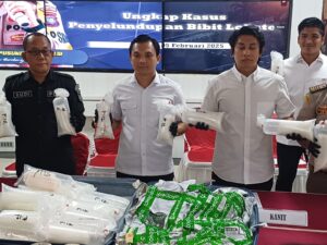 Polisi Sita Baby Lobster Rp1,5 M Tak Bertuan Dalam Kapal di Pelabuhan Internasional Sekupang