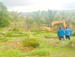 BP Batam Tegaskan Penertiban Lahan di Tanjung Banon Sesuai Prosedur Hukum