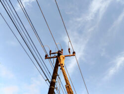 Listrik PLN Batam di Piayu Padam Akibat Layang-Layang dan Pohon Tumbang