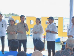 Wapres Gibran Panen Perdana Lobster Budidaya di Batam: Harapan Baru Industri Maritim Nasional