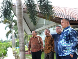 Kolaborasi Wamen UMKM, BP Batam, dan BRI Wujudkan Ekosistem UMKM Berdaya Saing