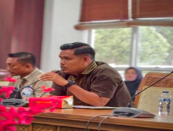 Apresiasi Ranperda PSU, Daeng Harianto Beri Saran Ini Ke DPRD Batam