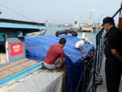 Bea Cukai Batam Amankan 1.250 Balok Kayu Ilegal di Perairan Pulau Hangop