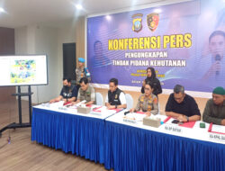 Polda Kepri Bongkar Mafia Lahan di Rempang, Kebun Mangga 294 Hektare di Hutan Konservasi Disita