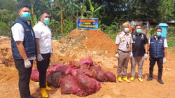Sebanyak 27 Ton Bawang Merah Ilegal Disita Ditpolairud, Negara Rugi Besar