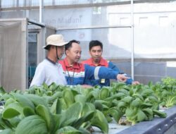 Pertamina Patra Niaga Regional Sumbagut Borong 12 PROPER Hijau, Perkuat Aksi Nyata Jaga Lingkungan dan Pemberdayaan Masyarakat