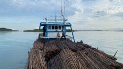 Ditpolairud Polda Kepri Gagalkan Penyelundupan 12 Ribu Batang Kayu Bakau Ilegal ke Singapura