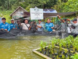 Pertumbuhan Ekonomi Kayong Utara Tertinggi 5 Tahun Terakhir
