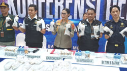 Baby Lobster Senilai Rp10 M Gagal Diselundupkan ke Singapura, Polda Kepri Tangkap Kurir di Batam