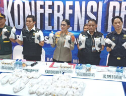 Baby Lobster Senilai Rp10 M Gagal Diselundupkan ke Singapura, Polda Kepri Tangkap Kurir di Batam