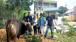 IJTI Bersama Polresta Barelang dan Bea Cukai Batam Kurban Sapi di Iduladha 1447 H