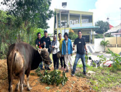 IJTI Bersama Polresta Barelang dan Bea Cukai Batam Kurban Sapi di Iduladha 1447 H