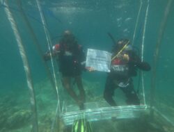 Pertamina Patra Niaga IT Teluk Kabung Laksanakan Transplantasi Terumbu Karang di Pulau Pasumpahan dalam Rangka Hari Lingkungan Hidup Sedunia