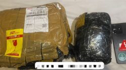 Paket Ganja 500 Gram dari Aceh ke Batam Digagalkan, Tersangka Ditangkap Saat Ambil Kiriman