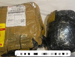 Paket Ganja 500 Gram dari Aceh ke Batam Digagalkan, Tersangka Ditangkap Saat Ambil Kiriman