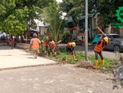 Tingkatkan Keandalan Listrik di Senjulung, PLN Batam Percepat Pembangunan Gardu Baru Dalam Upaya Pengamanan Peningkatan Beban