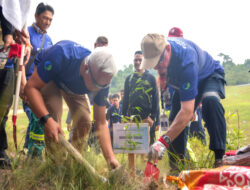 Perkuat Ketahanan Air Baku, BP Batam Gandeng PT Mc Dermott Indonesia Tanam Mangrove di Nongsa