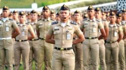 Resmi Dibuka, Ini Link ke SSCASN BKN Untuk Pendaftaran Sekolah Kedinasan 2026