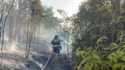 Tim Gabungan Berhasil Padamkan Karhutla Seluas 35 Hektar di Trans Barelang Batam