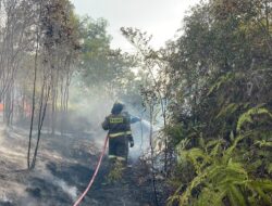 Tim Gabungan Berhasil Padamkan Karhutla Seluas 35 Hektar di Trans Barelang Batam