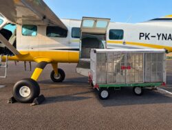 BP Batam Gelar Modifikasi Cuaca, Perkuat Ketahanan Air Batam